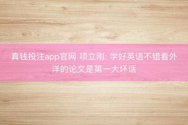 真钱投注app官网 项立刚: 学好英语不错看外洋的论文是第一大坏话
