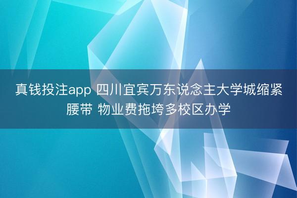 真钱投注app 四川宜宾万东说念主大学城缩紧腰带 物业费拖垮多校区办学