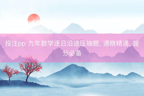 投注pp 九年数学逐日沿途压轴题， 通晓精通，<a href=