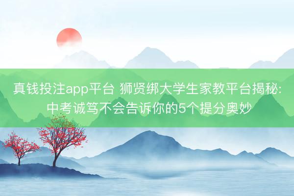 真钱投注app平台 狮贤绑大学生家教平台揭秘: 中考诚笃不会告诉你的5个提分奥妙
