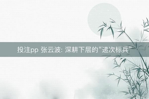 投注pp 张云波: 深耕下层的“递次标兵”