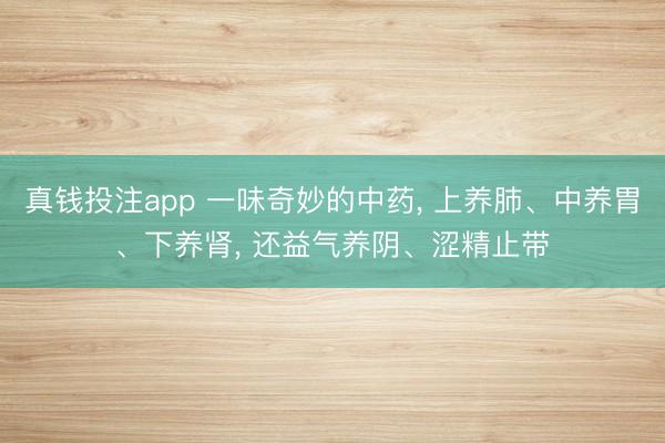 真钱投注app 一味奇妙的中药， 上养肺、中养胃、下养肾， 还益气养阴、涩精止带