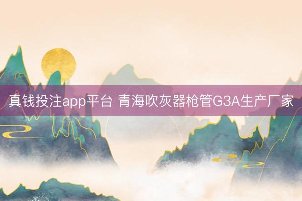真钱投注app平台 青海吹灰器枪管G3A生产厂家