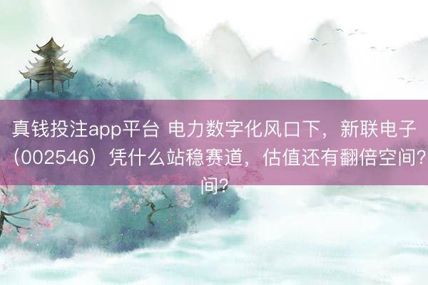 真钱投注app平台 电力数字化风口下，新联电子（002546）凭什么站稳赛道，估值还有翻倍空间？