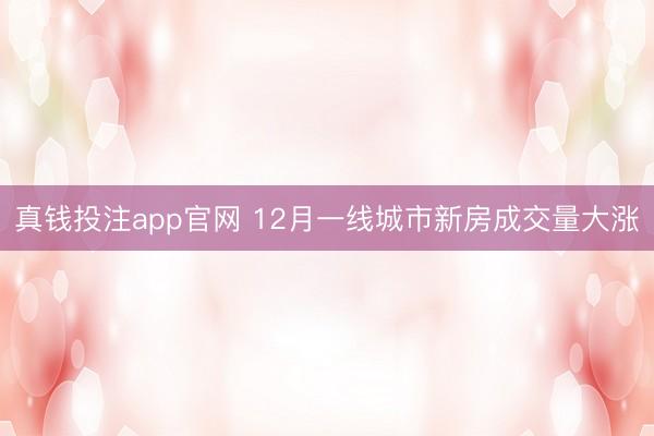 真钱投注app官网 12月一线城市新房成交量大涨