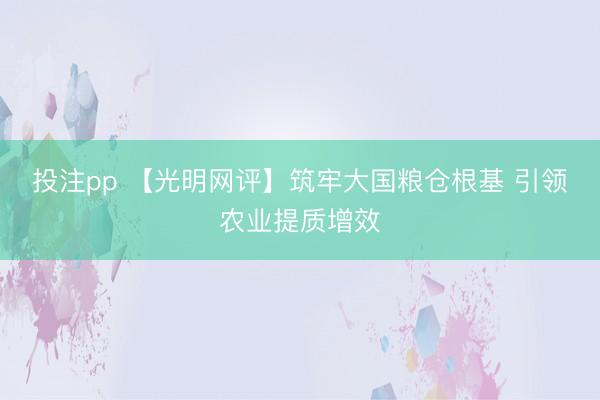 投注pp 【光明网评】筑牢大国粮仓根基 引领农业提质增效