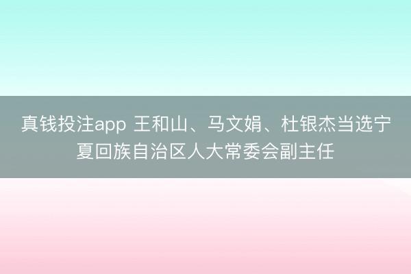 真钱投注app 王和山、马文娟、杜银杰当选宁夏回族自治区人大常委会副主任