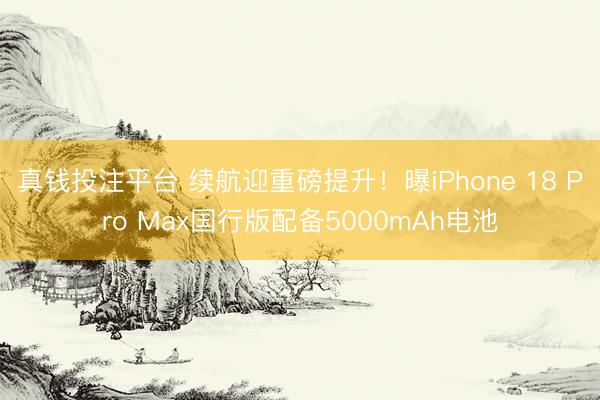 真钱投注平台 续航迎重磅提升！曝iPhone 18 Pro Max国行版配备5000mAh电池