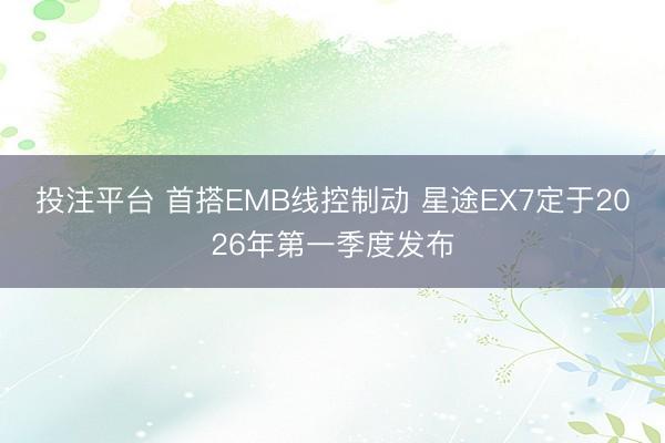 投注平台 首搭EMB线控制动 星途EX7定于2026年第一季度发布
