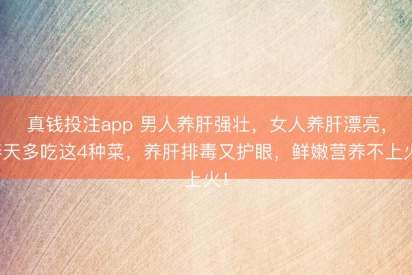 真钱投注app 男人养肝强壮,女人养肝漂亮,春天多吃这4种菜,养肝排毒又护眼,鲜嫩营养不上火!