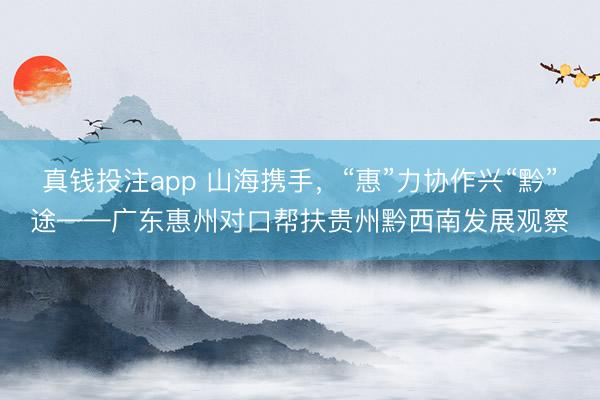 真钱投注app 山海携手，“惠”力协作兴“黔”途——广东惠州对口帮扶贵州黔西南发展观察