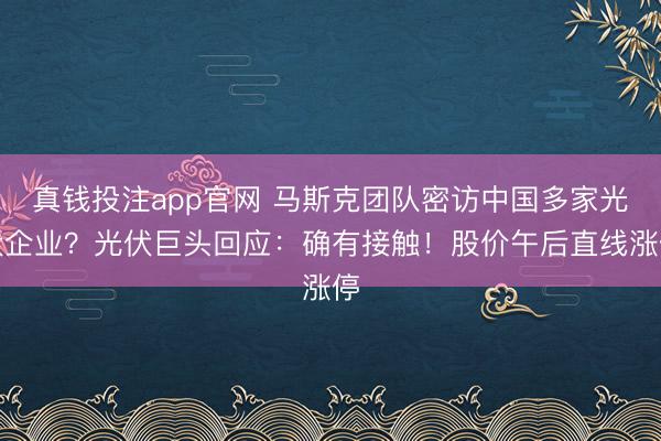 真钱投注app官网 马斯克团队密访中国多家光伏企业？光伏巨头回应：确有接触！股价午后直线涨停