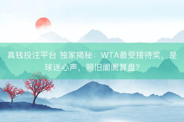 真钱投注平台 独家揭秘:WTA最受接待奖,是球迷心声,照旧阛阓算盘?