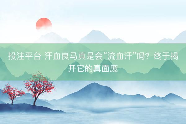 投注平台 汗血良马真是会“流血汗”吗?终于揭开它的真面庞