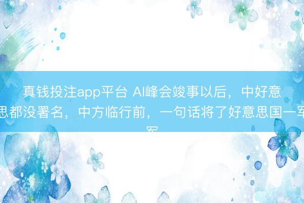真钱投注app平台 AI峰会竣事以后，中好意思都没署名，中方临行前，一句话将了好意思国一军