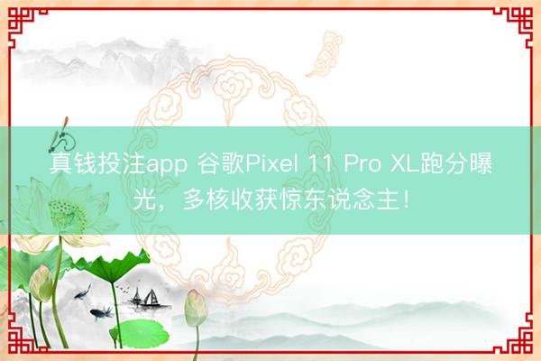 真钱投注app 谷歌Pixel 11 Pro XL跑分曝光,多核收获惊东说念主!