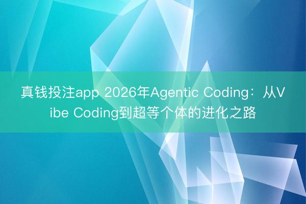 真钱投注app 2026年Agentic Coding：从Vibe Coding到超等个体的进化之路
