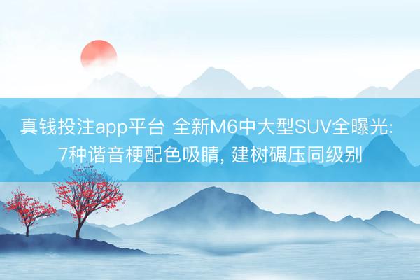 真钱投注app平台 全新M6中大型SUV全曝光: 7种谐音梗配色吸睛, 建树碾压同级别