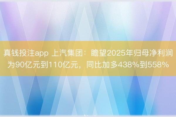 真钱投注app 上汽集团：瞻望2025年归母净利润为90亿元到110亿元，同比加多438%到558%