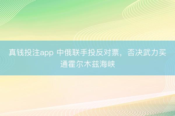 真钱投注app 中俄联手投反对票,否决武力买通霍尔木兹海峡