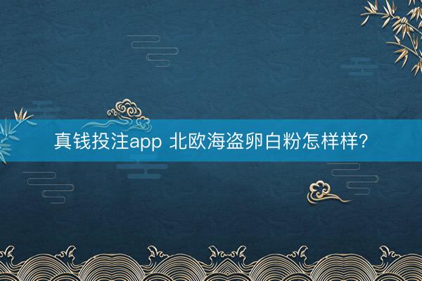 真钱投注app 北欧海盗卵白粉怎样样?