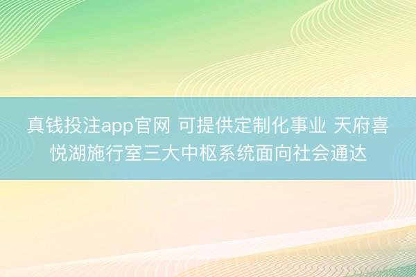 真钱投注app官网 可提供定制化事业 天府喜悦湖施行室三大中枢系统面向社会通达