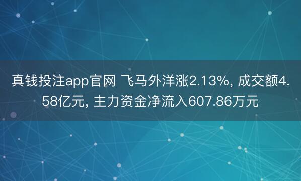 真钱投注app官网 飞马外洋涨2.13%， 成交额4.58亿元， 主力资金净流入607.86万元