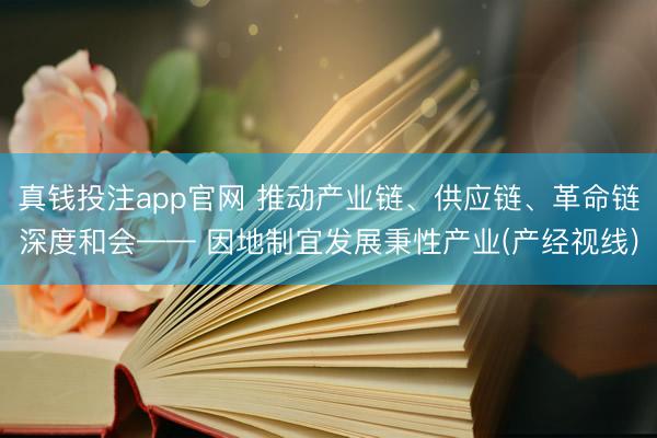 真钱投注app官网 推动产业链、供应链、革命链深度和会—— 因地制宜发展秉性产业(产经视线)