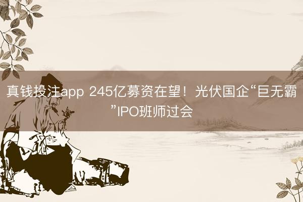 真钱投注app 245亿募资在望！光伏国企“巨无霸”IPO班师过会