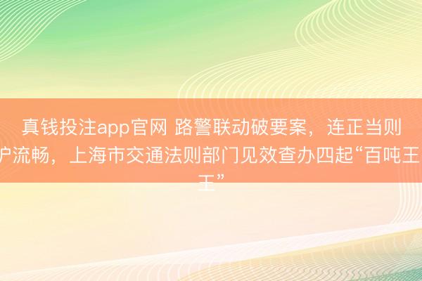 真钱投注app官网 路警联动破要案，连正当则护流畅，上海市交通法则部门见效查办四起“百吨王”