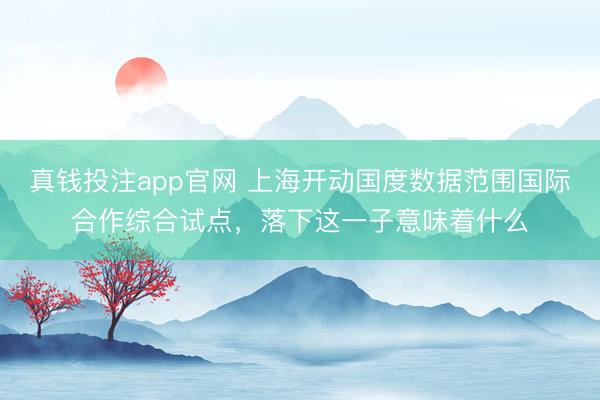 真钱投注app官网 上海开动国度数据范围国际合作综合试点，落下这一子意味着什么