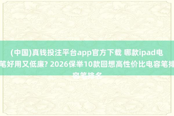 (中国)真钱投注平台app官方下载 哪款ipad电容笔好用又低廉? 2026保举10款回想高性价比电容笔排名