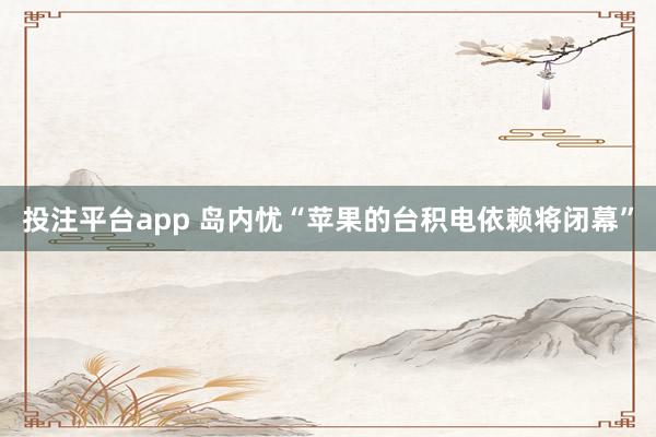 投注平台app 岛内忧“苹果的台积电依赖将闭幕”