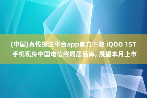 (中国)真钱投注平台app官方下载 iQOO 15T 手机现身中国电信终局居品库， 展望本月上市