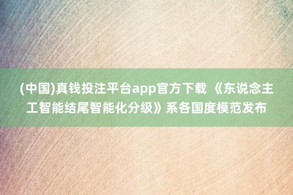 (中国)真钱投注平台app官方下载 《东说念主工智能结尾智能化分级》系各国度模范发布