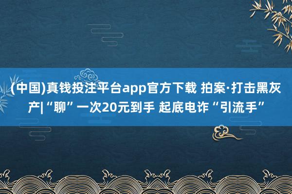 (中国)真钱投注平台app官方下载 拍案·打击黑灰产|“聊”一次20元到手 起底电诈“引流手”