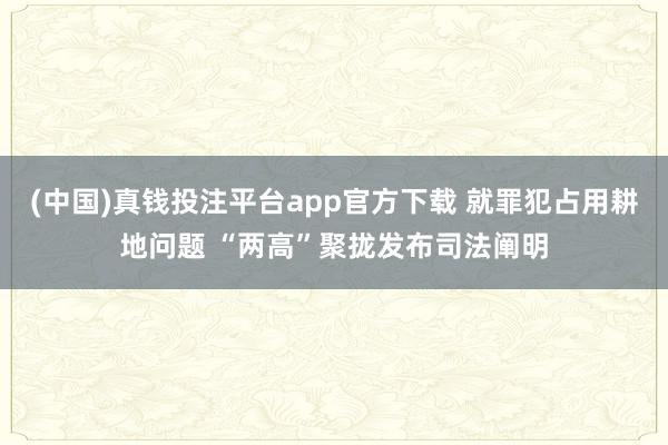 (中国)真钱投注平台app官方下载 就罪犯占用耕地问题 “两高”聚拢发布司法阐明