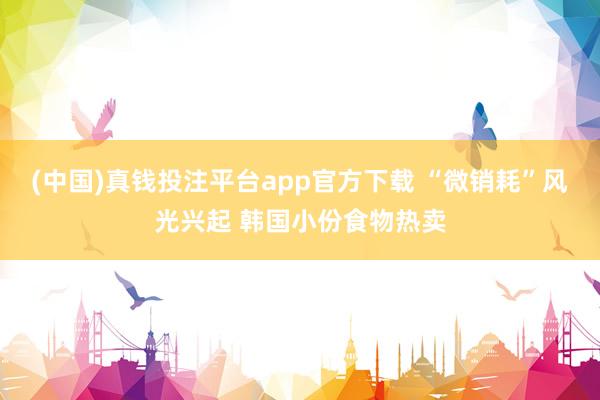 (中国)真钱投注平台app官方下载 “微销耗”风光兴起 韩国小份食物热卖
