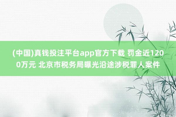 (中国)真钱投注平台app官方下载 罚金近1200万元 北京市税务局曝光沿途涉税罪人案件