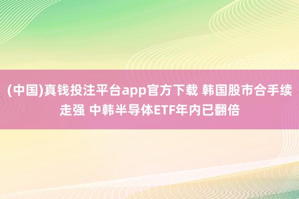 (中国)真钱投注平台app官方下载 韩国股市合手续走强 中韩半导体ETF年内已翻倍