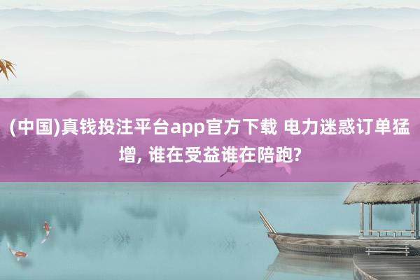 (中国)真钱投注平台app官方下载 电力迷惑订单猛增， 谁在受益谁在陪跑?