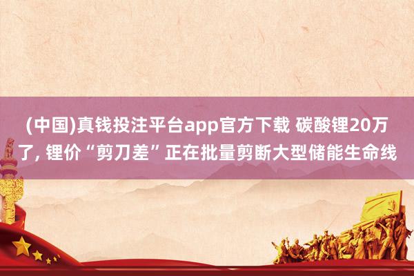 (中国)真钱投注平台app官方下载 碳酸锂20万了， 锂价“剪刀差”正在批量剪断大型储能生命线