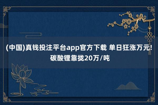 (中国)真钱投注平台app官方下载 单日狂涨万元! 碳酸锂靠拢20万/吨