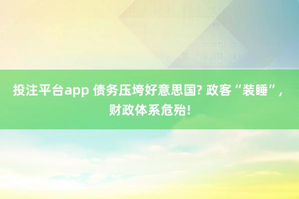 投注平台app 债务压垮好意思国? 政客“装睡”， 财政体系危殆!