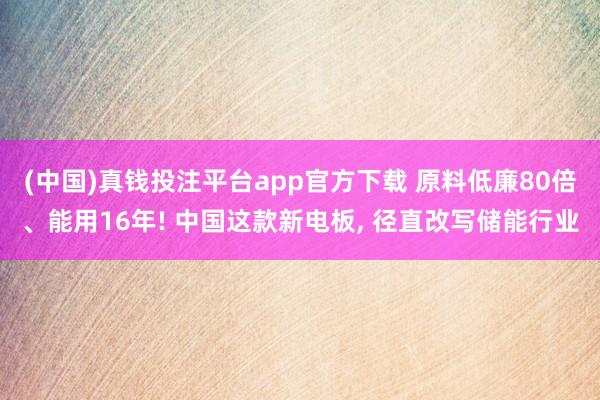 (中国)真钱投注平台app官方下载 原料低廉80倍、能用16年! 中国这款新电板, 径直改写储能行业