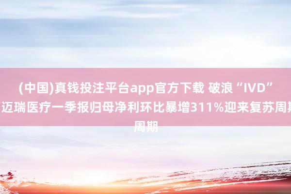 (中国)真钱投注平台app官方下载 破浪“IVD”: 迈瑞医疗一季报归母净利环比暴增311%迎来复苏周期