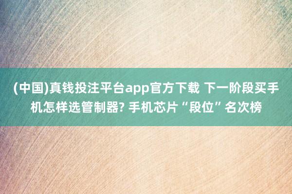 (中国)真钱投注平台app官方下载 下一阶段买手机怎样选管制器? 手机芯片“段位”名次榜