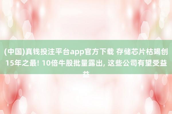 (中国)真钱投注平台app官方下载 存储芯片枯竭创15年之最! 10倍牛股批量露出， 这些公司有望受益