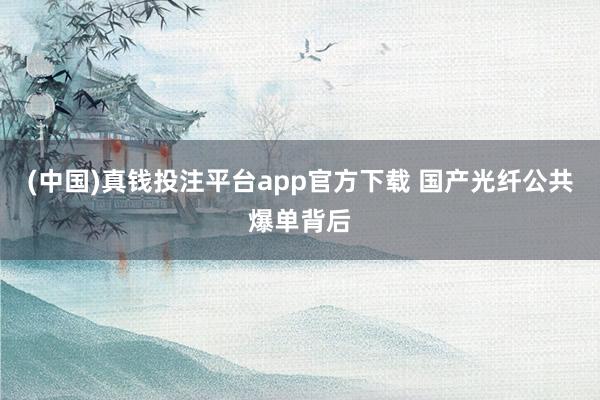 (中国)真钱投注平台app官方下载 国产光纤公共爆单背后