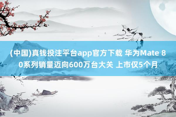 (中国)真钱投注平台app官方下载 华为Mate 80系列销量迈向600万台大关 上市仅5个月